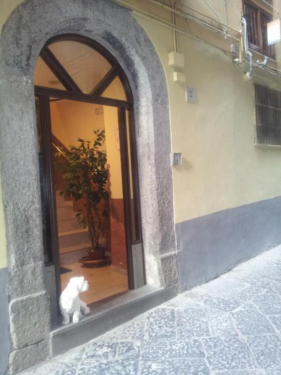 Dei Gerolomini Hotel Napoli Bagian luar foto